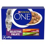 PURINA ONE Mini Fillets Selective Palate Adult Wet Cat Food 8x85g (Pack of 5)