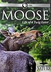Nature: Moose - Life of a Twig Eate