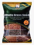 Numinous Alfalfa, Alfa Alfa, Lucerne, Medicago Sativa, Lucerne, Methi, Rajka 3 Sali Fodder Grass Seeds (3 Year Variety) - 1 Kg