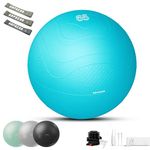 HAPBEAR Exercise Ball (22''/26'') - Anti Burst and Slip Resistant Yoga Ball for Core Exercise & Stability, Home Gym/Rehab/Pregnancy Ball with Quick Pump & 3 Resistance Bands