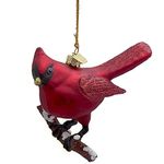 Kurt Adler Noble Gems Glass Cardinal Christmas Ornament by Kurt Adler