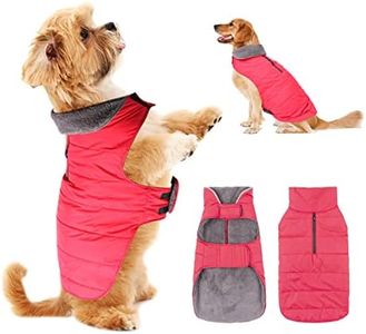 PPET Dog C