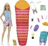 Barbie It Takes Two Doll & Accessor