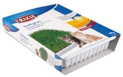 Trixie Cat Grass Seeds with Plastic Planter for Kittens and All Cats, Soft, Vitamin-Rich, Easy Grow, Nutritious & Natural, Supports Health & Digestion, 100 g