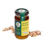 Last Forest Unprocessed Wild Ginger Honey, 250g | Organic Raw Honey - Rich in Vitamins & Antioxidants | Pure, Unpasteurized Natural Honey with No Added Sugar or Additives
