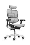 Ergohuman Eurotech GEN2 High Back, Mesh Executive Office Chair with Adjustable Lumbar Support – Ergonomic Tilt Control, Seat Slider, Armrests and Headrest Adjustment, Grey