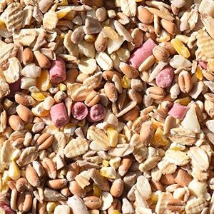 Leagrams Premium No Grow No Mess Wild Bird Seed Mix (25.1kg)