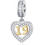 19 Years Old Anniversary Charms fits Pandora Bracelet, 18K Golden Number 19, 925 Sterling Silver Heart Necklace Pendant with Birthstones CZ, Milestones 19th Birthday Gifts for Family/Friend