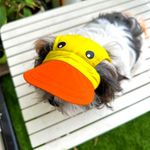 Dog-O-Bow Yellow-Orange Baseball Cap for Dogs (Small)