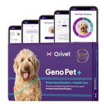 ORIVET GenoPet Plus Dog DNA Test Kit | 365+ Breed Identification & 330+ Genetic Health Conditions Included | Personalised Life Plan | At-Home Cheek Swab | Results in Approximately 3–5 Weeks