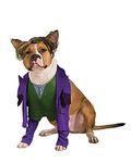 Rubie´s Joker Fancy Dress Costume For Pets X-Large