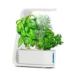 AeroGarden Sprout LED - White (2020 Model)