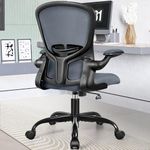 FelixKing Office Chair, Ergonomic Desk Chairs with Wheels Home Mesh Chair Adjustable Lumbar Support and Height, Ergo Chair for Working Gaming Use (Dark Gray)