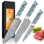 3PCS Damascus Knife Set,12.4-20cm Blade Made of 67 Layers of VG-10 Damascus Steel Kitchen Knife Set Damascus Chef Santoku Knife, Abalone Shell Handle, Gift Box