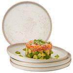 Mesa Uno by B Brilliant Ceramic Stoneware Dinner Plates Set of 4, Raised Rim Portuguese Ceramic Plates, Modern Simple Artisan Design - Oven & Microwave Safe Plates (Alabaster, 8.6" Dinner Plate)