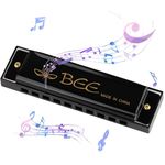 DASHUAIGE Blues Harmonica in C, 10 Holes 20 Tones Blues Harmonica Mouth Organ Key of Perfect Music Gift for Children Adults Beginners and Performers (Black)