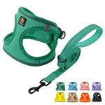 BELLA & PAL Dog Harness and Leash Set, Step-in Small Dog Harness for Extra Small Dogs, Soft Mesh Breathable Harness with Reflective Strip, Puppy Harness No Pull Harness for Small Dogs, Green, XXS