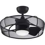 Fanimation FP8519BL Henry Fan-Light Kit, Black