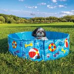 BigMouth Inc. Hard Rimmed Dog Pool, No Inflation Needed, Easy-to-Fold, Fits Small to Medium Pets, Patterns and Splashes