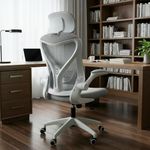 DROGO Premium Ergonomic Office Chair for Work from Home, High Back Computer Chair with Mesh, Flip-up Armrest, Recline, Adjustable Seat & Lumbar Support | Mesh Chair for Office (Grey II)