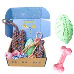 EVOLUTION UC BoBo Box Dog Toys | Set of 9 | Gift Box for Puppies and Small Breeds Chew Toys Interactive Toys Durable Rubber and Rope Toys Treat Dispensing Toy Rugby Ball Toy (Green+Pink)