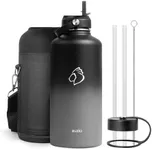 Insulated Water Bottle with Straw L