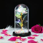 TECHSHARE Birthday Gifts for Women, Galaxy Flower Rose is a Unique Gifts for a Girlfriend, Mom, Women, or Wife on Valentines Day, Mothers Day, Christmas, Birthday, Anniversaries, etc