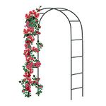 Forever Speed Metal Rose Arch Trellis Rose Aid Made of Powder-Coated Steel, Garden Decoration and Embellishment Climber Weatherproof 240 x 140 x 38 cm Black