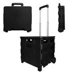 Berry 40L Foldable Shopping Trolley, Plastic Trolley Cart with 2 Wheels and Lid, Portable Cart with Telescopic Handle, Multipurpose Utility Cart for Shopping, Teacher - Black