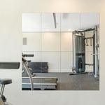 Delma Home Gym Mirrors, 12'' x 12''