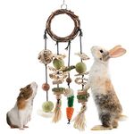 ERKOON Rabbit Toys Boredom Breaker, Rabbit Hamster Toys Bunny Boredom Breaker Treats Rattan Ring with Snacks Grass Ball Hanging Toy Carrot for Rabbits, Chinchillas, Hamsters, Guinea Pig