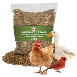 Dried Black Soldier Fly Larvae Chicken Treats for Hens, Duck, Wild Birds, Lizard, Tortoise, Fish - All Natural High Protein Dried Mealworms Alternative