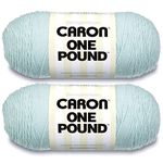 Caron One Pound Pale Green Yarn - 2 Pack of 454g/16oz - Acrylic - 4 Medium (Worsted) - 812 Yards - Knitting/Crochet