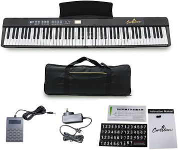 88-Key Por