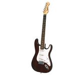 NEWEN Stratocaster Style Electric Guitar Made in Argentina, Dark wood