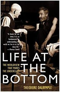 Life at the Bottom: The Worldview That Makes the Underclass