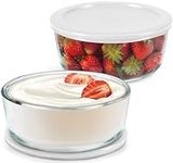 Ultimate Yogurt Containers 2 Pack -