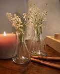 Labzio Home - Elegant conical glass flower vase/shot flasks for homes, offices, cafes, etc, 2-100ml each and 2-50ml each, pack of 4