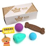 Chew King Dog Box Large- Durable Fetch Balls, Treater and Chewing Toy Collection, Teal (CM-10100-CS01)