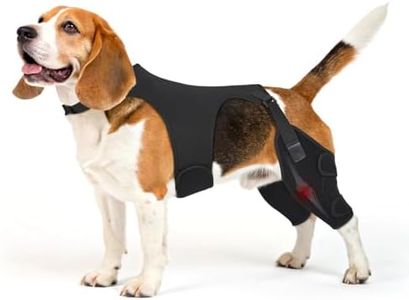 Pawfun Dog