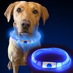 MURR Dog Light Up Collar | Flashing Dog Collar | Dog Collar Light | Rechargeable USB Dog Collar Light for Night | Blue