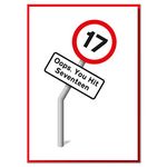 Oops. You Hit Seventeen. Funny Road sign 17th Birthday Card