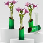 Glass Test Tube Planter with Craft Bamboo Stand - Unique Tabletop, Desktop, Living Room Decor | Best for Money Plant, Lucky Bamboo | (Pack of 4)