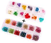 XICHEN 36 Starry plus 36 five flower flower three-dimensional applique 3d nail stickers nail supplies dried flowers 2 12 color (Starry and five flower)