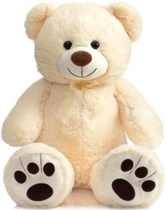 BEJOY Tedd