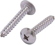 #8 x 1" Stainless Truss Head Phillips Wood Screw (100pc) 18-8 (304) Stainless Steel Screws by Bolt Dropper