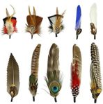 10Pcs Hat Feathers, Natural Feathers Peacock Feathers for Hats, Colorful Feathers Pin Cowboy Hat Feather for Western Cowboy Hats Christmas Party Hats, Feathers Accessories DIY Decorations (10 Style)