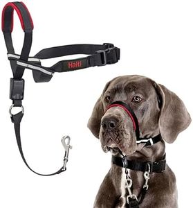 Halti Optifit Headcollar - Stop Your Dog Pulling on the Leash. Adjustable, Reflective and Lightweight, with Padded Nose Band. Dog Training Anti-Pull Collar for Large Dogs (Size Large)