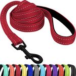 CollarDirect Nylon Dog Leash 5ft for Daily Outdoor Walking Running Training Heavy Duty Reflective Pet Leashes for Large, Medium & Small Dogs (Red, Small)