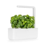 Indoor Grow Kits